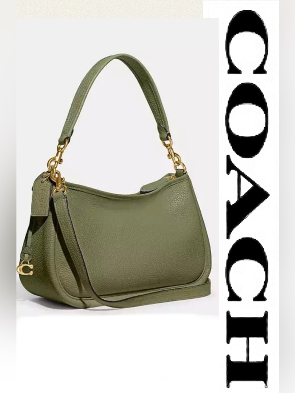 Coach Cary leather Crossbody / shoulder bag Moss / Olive NWT